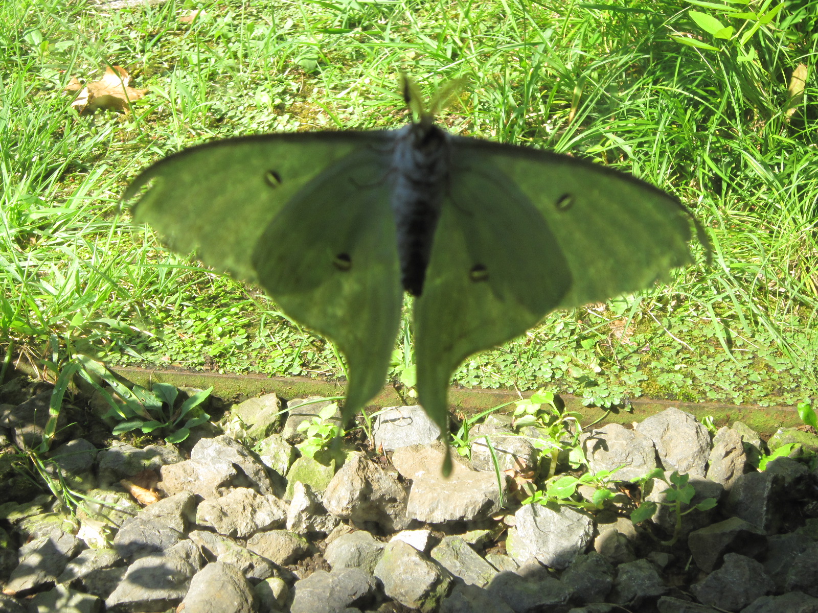 20120824-001.jpg