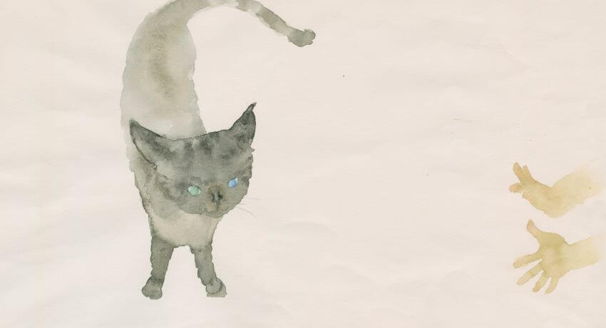 今日は、にゃんの日？ - いわさきちひろ記念事業団 公式サイト