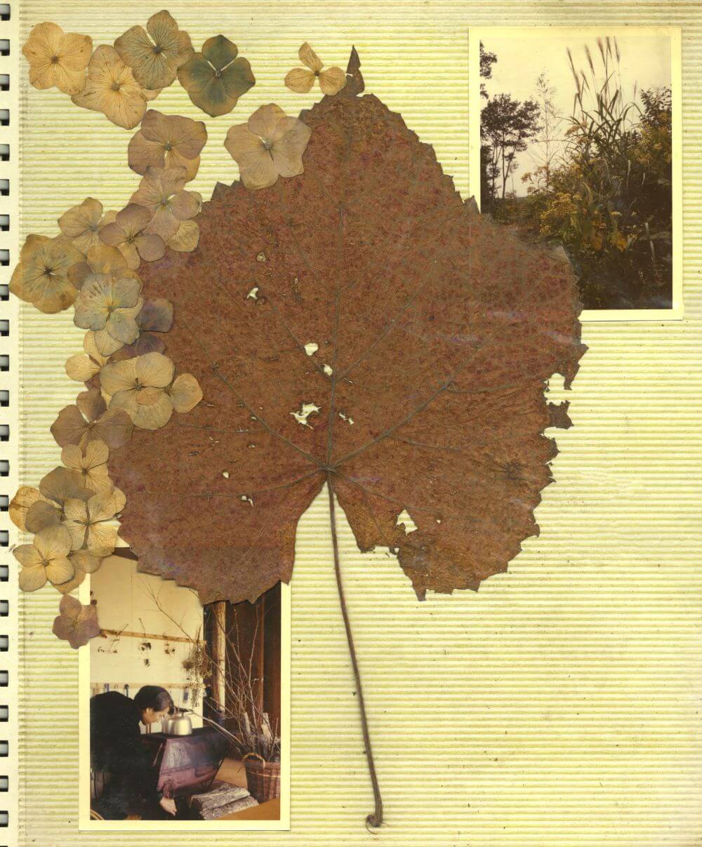 ちひろと木の葉 - いわさきちひろ記念事業団 公式サイト