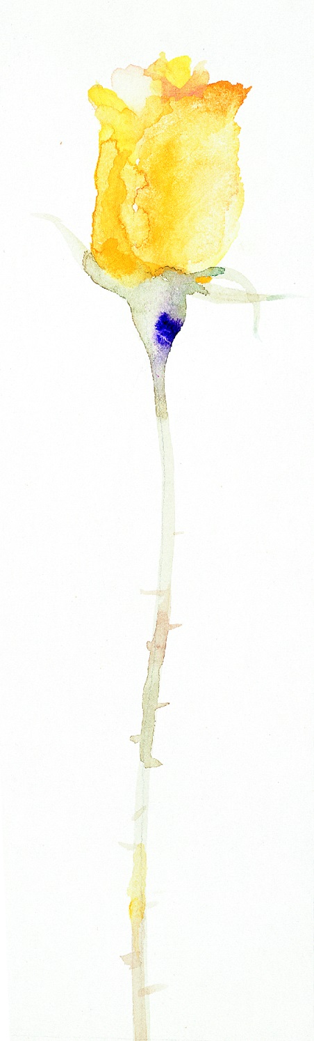 いわさきちひろ 黄色いバラ 1971年Chihiro Iwasaki, Yellow Rose, 1971