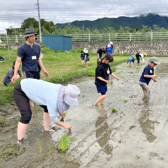 青空トモエ学園 田んぼの教室2025 田植えが開催されました。 ｜世界初