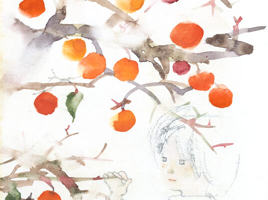 いわさきちひろ　柿の木と少女　1970年