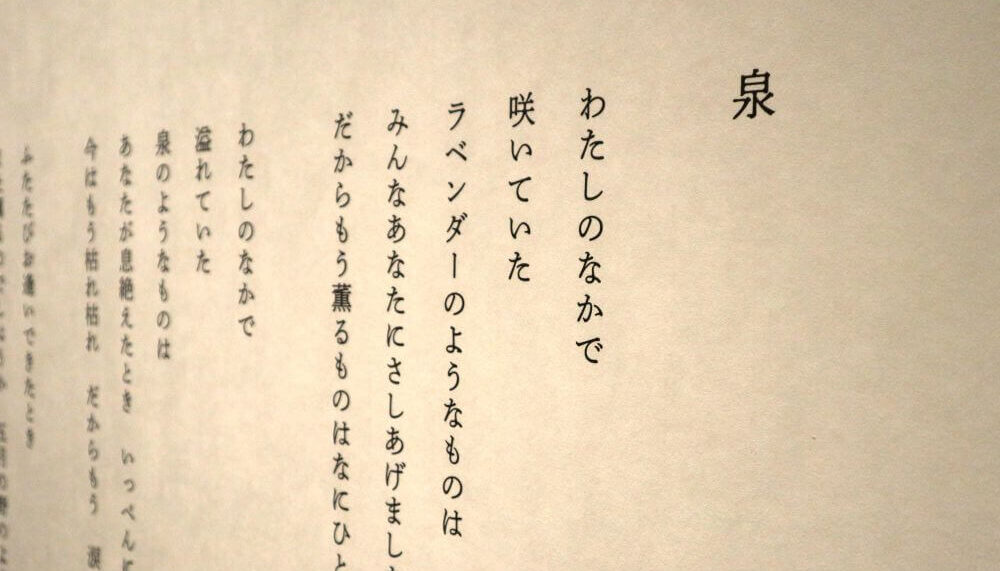【貴重】早い者勝ち！茨木のり子全詩集 茨木のり子全詩集 新版／茨木 のり子, 宮崎 治｜人文・社会科学書