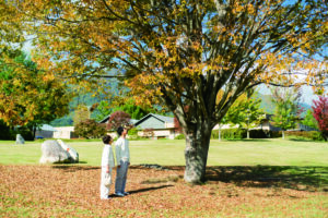 安曇野ちひろ公園で紅葉した葉のついた枝をふたりが見上げている写真。
