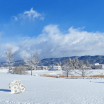 安曇野ちひろ公園の景色。雪が積もった地面の上に青空が広がっている。