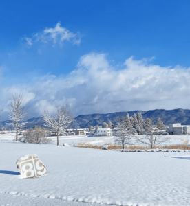 安曇野ちひろ公園の景色。雪が積もった地面の上に青空が広がっている。
