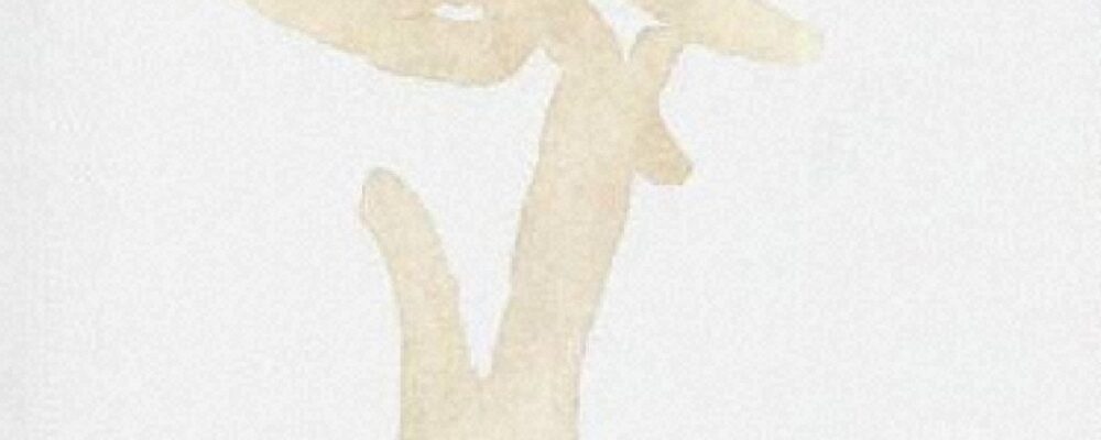 いわさきちひろ　指輪をはめた手　『わたしのえほん』　（みどり書房）より　　1968年