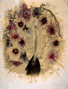 ユゼフ・ヴィルコン『あるクジャクの冒険』より 1963年,1960年