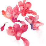 作品：いわさきちひろ　シクラメンの花のなかの子どもたち 『戦火のなかの子どもたち』（岩崎書店）より　1973年 Illustration: Chihiro Iwasaki Children among Cyclamen Flowers from Senka no Naka no Kodomotachi (Children in the Flames of War), Iwasaki Shoten, 1973