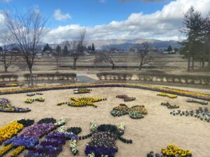 いわさきちひろの「にじのはし」（1963年）を表現したパンジーの地上絵