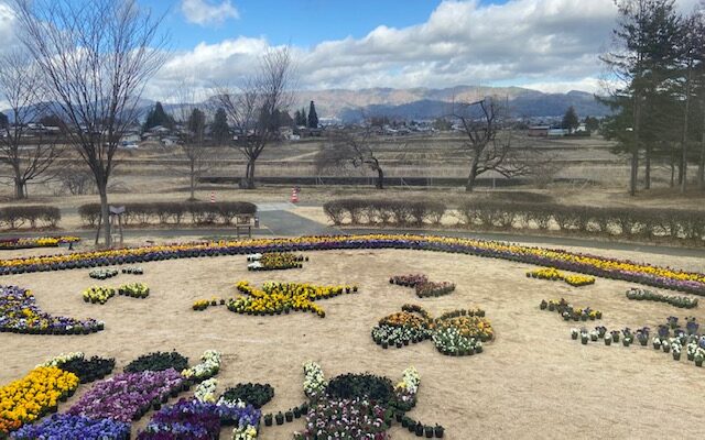 いわさきちひろの「にじのはし」（1963年）を表現したパンジーの地上絵