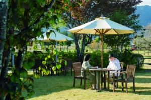 絵本カフェのテラス席で、大人ふたりが食事をしている写真