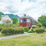 トットちゃん広場オープン10周年！ 2016年ににオープンしたトットちゃん広場は、2026年に10周年を迎えます。